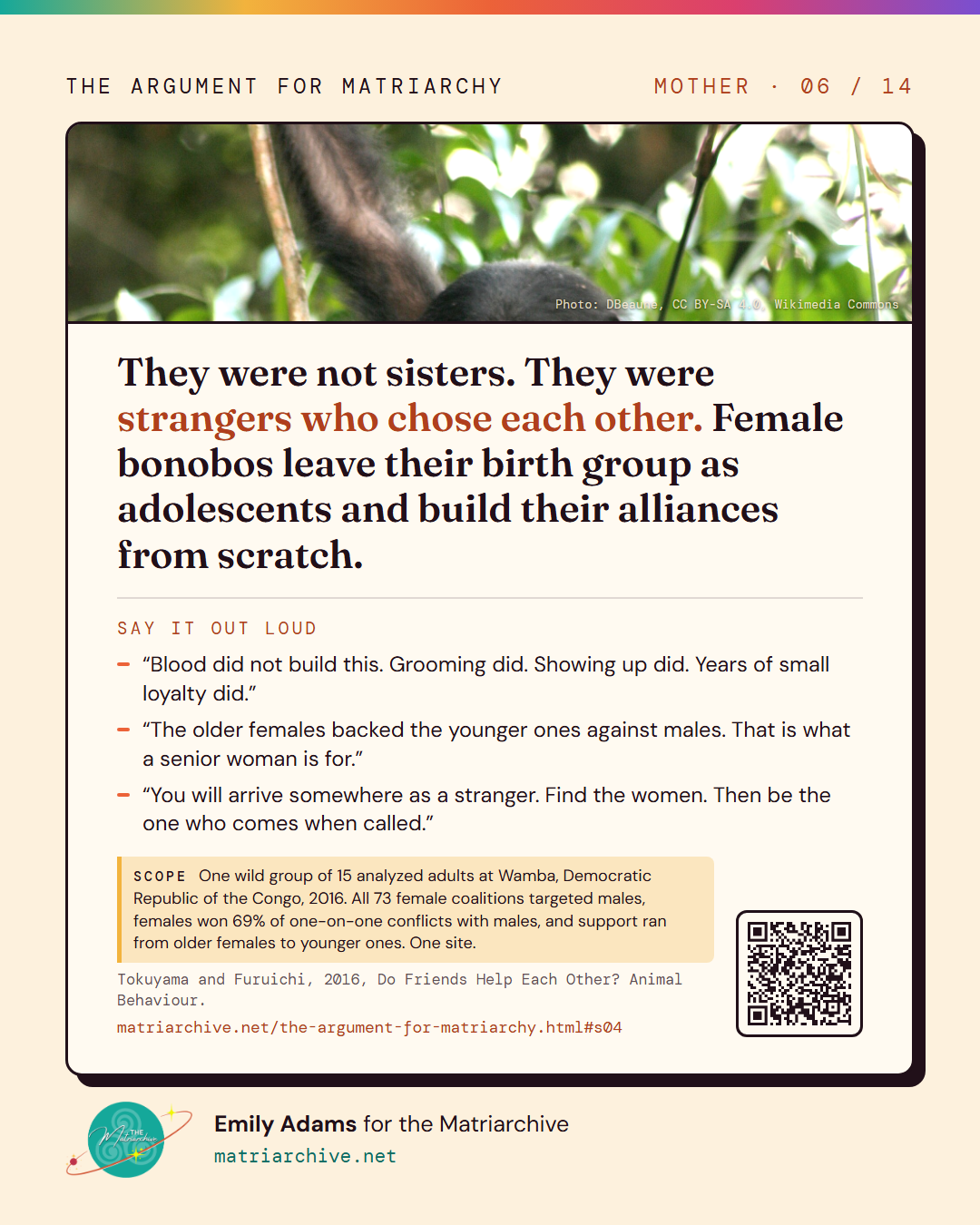 Card 6